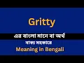 Gritty meaning in