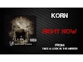 Korn - Right Now [Lyrics Video]