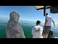 Big Fish Battle off Marco Island Nearshore Reef Wreck Fishing Charter
