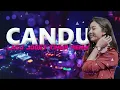 Download Lagu CANDU⚠️⚠️LAGU JOGET TERBARU 2025 🎵 VN REMIXER