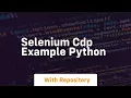 selenium cdp example python