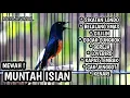 Download Lagu MASTERAN MURAI BATU FULL ISIAN TEMBAKAN MEWAH SIKATAN LONDO CILILIN BELALANG RAJA CUNGKOK GEREJA