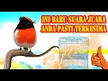 Download Lagu Masteran Burung Full Isian Paling Juara Mewah
