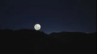 12 lagu galau yang lagi viral di gabungin jadi satu lyrics 