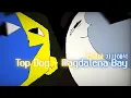 『나는 최상위야』 Top dog - Magdalena Bay 한국어 가사해석 가사번역