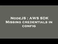 NodeJS AWS SDK Missing credentials in config