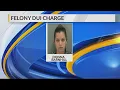 Driver charged with DUI in Darlington County crash that killed EMS worker