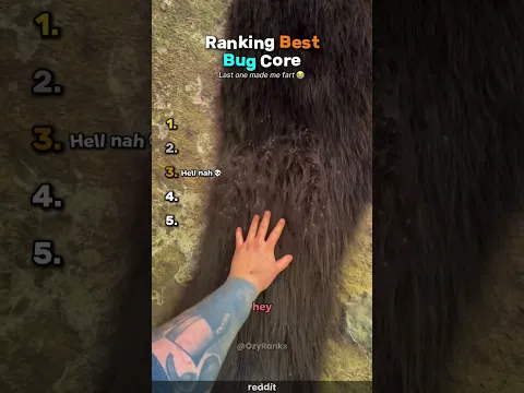 Ranking Best Bug Core🐜 #usa