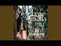 Download Lagu Ie Bungong