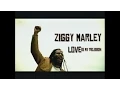 Download Lagu Ziggy Marley - Love Is My Religion