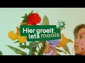 Lagu Uitlegvideo: Hier groeit iets moois