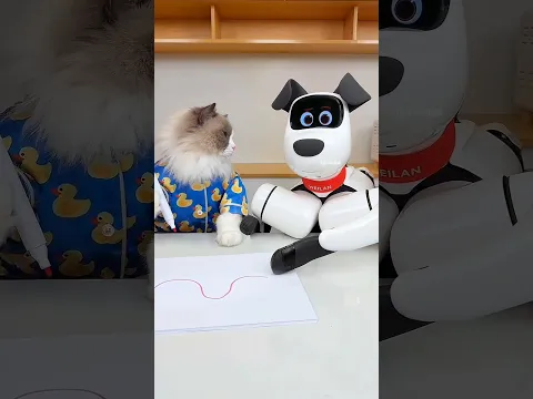 CAT 🐈 का पालतू कीड़ा 🐌 उड़ गया 😂 | बेचारा Dog 🐕