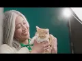 Download Lagu Catelaine: Meong dan Selamanya