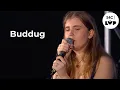 Download Lagu Buddug - 'Dal Dig' | Yn fyw o Tafwyl 2024