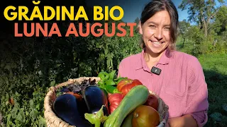 👩🏼‍🌾 Turul GRADINII FARA SAPA in luna AUGUST | Gradinarit fara experienta