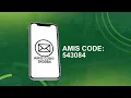 Introduction to AMIS