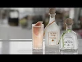 Search Party x Patron Present The Citronage Paloma