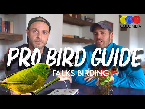 Birding in Colombia | Tips from a Professional Guide