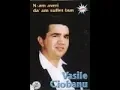 Download Lagu Vasile Ciobanu - Album N-am averi da' am suflet bun