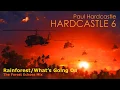 Download Lagu Paul Hardcastle - Rainforest/What’s Going On (The Forest Echoes Mix)