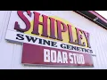 Welcome to Shipley Swine Genetics