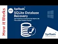 How to Export Corrupt SQLite DB Files The Simple Method Best Guide