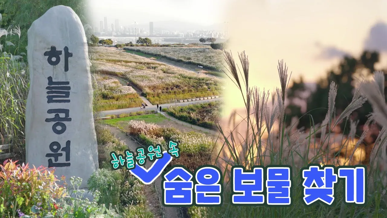 관련 영상 썸네일