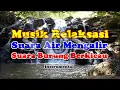 Download Lagu Musik Relaksasi Suara Air Mengalir dan Suara Burung Berkicau, Untuk Menghilangkan Stress