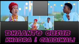 Dhaanto Cusub Qalbi Caashaq Khadra Haybe Khadra Dirgax Cabdiwali Xasan Dhuux 
