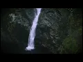Braveheart - A Gift of a Thistle | Calm Continuous Mix