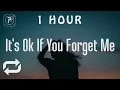 Download Lagu [1 HOUR 🕐 ] Astrid S - It's Ok If You Forget Me (Lyrics)