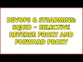 DevOps SysAdmins Squid - Selective reverse proxy and forward proxy