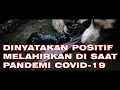 Download Lagu SADIS! DINYATAKAN POSITIF MELAHIRKAN SAAT PANDEMI COVID-19