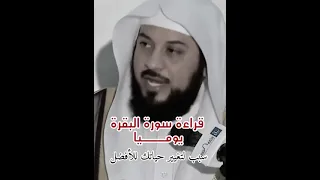فضل قراءة سورة البقرة يوميا 