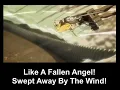 Download Lagu Attack On Titan OP 4 Red Swan Tribute AMV Cover Caleb Hyles