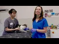 Administering a Rabies Vaccine to a Cat