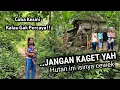 Download Lagu TAK MASUK AKAL!! DIKIRA RUMAH BIASA GAK NYANGKA TERNYATA ADA SUARA KUNTILANAK TERTAWA