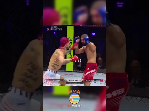 SUGAR SEAN WALK OFF SALUTE KO