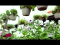 Garden Center Euston Hardware FINDitKC