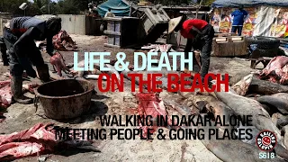 Walking The Streets Of Dakar To Find Solutions | Meeting People Going Places | Season 6 | Episode 8