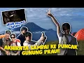 Download Lagu FIRST TIME! AKHIRNYA SAMPE KE PUNCAK GUNUNG PRAU BARENG CELI!! - PART 2