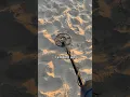 Download Lagu Can you actually find treasure with a metal detector?