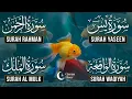 Lagu Very Nice Voice Surah Yaseen | Surah Rahman | Surah Waqiah | Surah Mulk l Reciter Ashraf Hussain