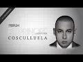 Download Lagu Cosculluela - Prrrum (Visualizer)