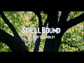Spellbound by Siouxsie and the Banshees music video (college project)