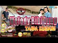 MELODY BIBI LUNG TANPA KENDANG PLUS JEP Versi DANGDUT KOPLO PEGON SIMPATIK JANDUTAN FULL ARANSEMEN