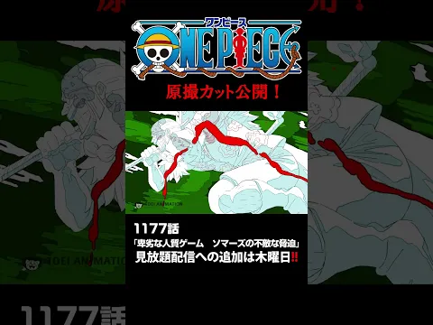 アニメ「#ONEPIECE」見放題配信への追加は木曜日‼️1177話‼️ #onepiece #原撮