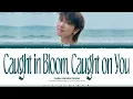 Download Lagu THE8  - 마침 봄, 널 봄 (Caught in Bloom, Caught on You) Lyrics_COLORCODEDLYRICS