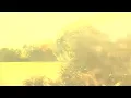 Billie Marten - Live (Official Audio)