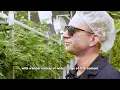 Behind the Scenes Growing Roll One Cannabis with Trulieve s Cultivation Team